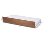 Ash Walnut Twin Trundle Bed – 1-Person, Platform Style, No Box Spring Needed