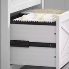 2-Drawer Lateral File Cabinet, 1-User